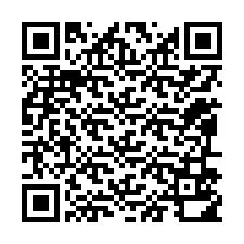 QR код за телефонен номер +12096510069