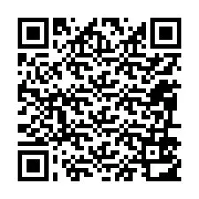 QR-код для номера телефона +12096512877