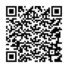 QR kód a telefonszámhoz +12096516208