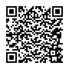 QR-код для номера телефона +12096541863