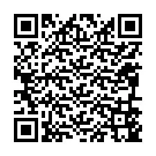 电话号码二维码 +12096545006