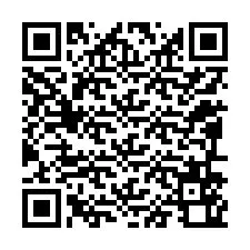 QR Code for Phone number +12096560528