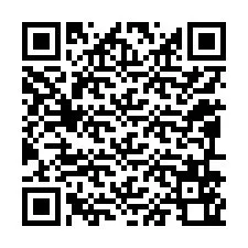 QR код за телефонен номер +12096560528