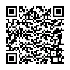 QR-код для номера телефона +12096560958