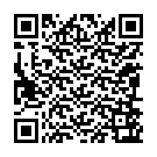 电话号码二维码 +12096563294