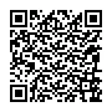 QR kód a telefonszámhoz +12096566040