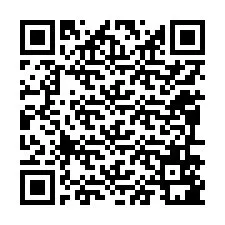 QR-Code für Telefonnummer +12096581566