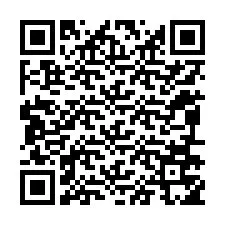 QR-Code für Telefonnummer +12096755380