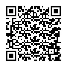 QR-Code für Telefonnummer +12096905589