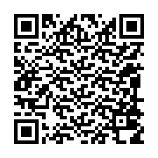 QR-код для номера телефона +12098018974