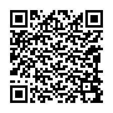 QR код за телефонен номер +12098095134