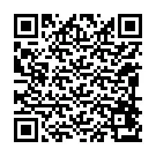 QR-code voor telefoonnummer +12098473764