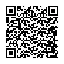 Codice QR per il numero di telefono +12098473766