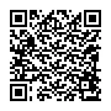 QR Code pour le numéro de téléphone +12098473768