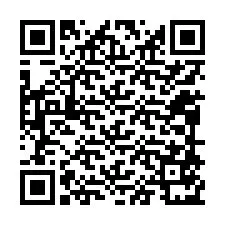 Código QR para número de teléfono +12098571133