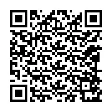 QR-код для номера телефона +12098571699