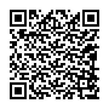 QR-код для номера телефона +12098577238