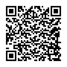 Código QR para número de telefone +12098577639