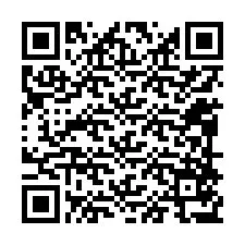 QR Code pour le numéro de téléphone +12098577673