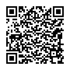 電話番号のQRコード +12098578415