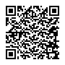 Código QR para número de teléfono +12098795713