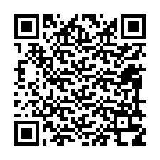 Código QR para número de teléfono +12099318657