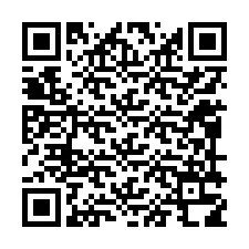 Codice QR per il numero di telefono +12099318672