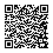 QR-code voor telefoonnummer +12099391566