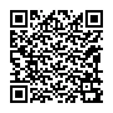 QR-code voor telefoonnummer +12099391731