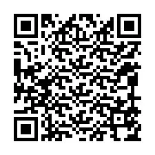 QR-код для номера телефона +12099574100