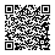 電話番号のQRコード +12099577592