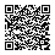 Código QR para número de telefone +12103016316