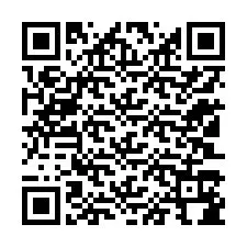 QR Code pour le numéro de téléphone +12103184876