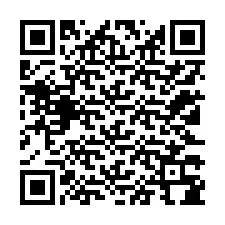 电话号码二维码 +12123384199