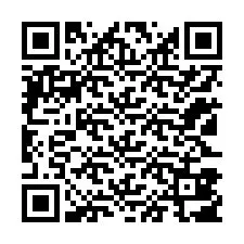 QR-code voor telefoonnummer +12123807065