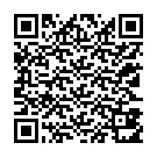 Código QR para número de telefone +12123811068