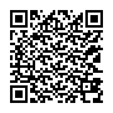 Codice QR per il numero di telefono +12123838070