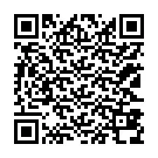 QR Code pour le numéro de téléphone +12123838071