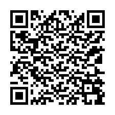 Codice QR per il numero di telefono +12125099400