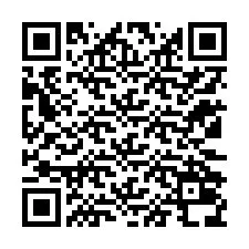Codice QR per il numero di telefono +12132038692