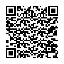 QR-code voor telefoonnummer +12132038983