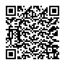 QR Code pour le numéro de téléphone +12133065998