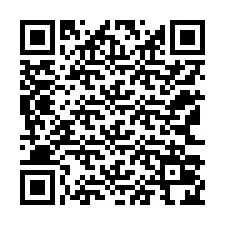 QR Code สำหรับหมายเลขโทรศัพท์ +12163024634