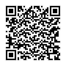 QR Code for Phone number +12163028252