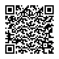 QR kód a telefonszámhoz +12163028252