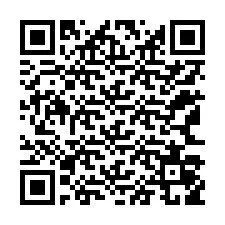 QR kód a telefonszámhoz +12163059520