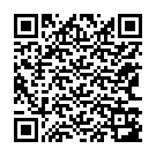 电话号码二维码 +12163183426