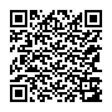 Codice QR per il numero di telefono +12163183864