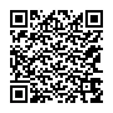 QR Code pour le numéro de téléphone +12163656863