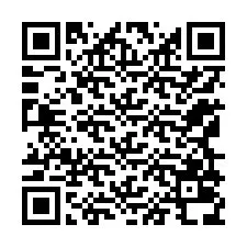 Código QR para número de teléfono +12169038763